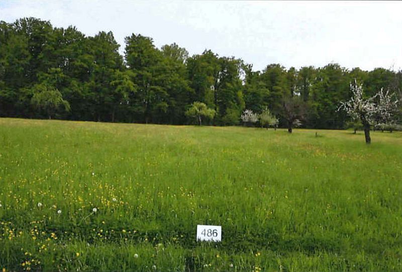 Land-/Forstwirtschaft in , 71229 Leonberg