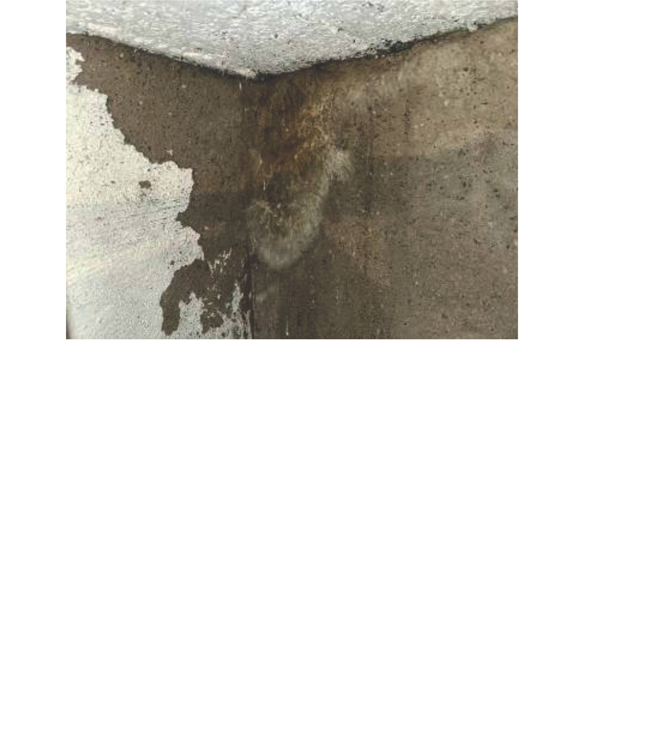 baden-wuerttemberg 9 K 14/24 Untere Talstraße 30, 72469 Meßstetten 13