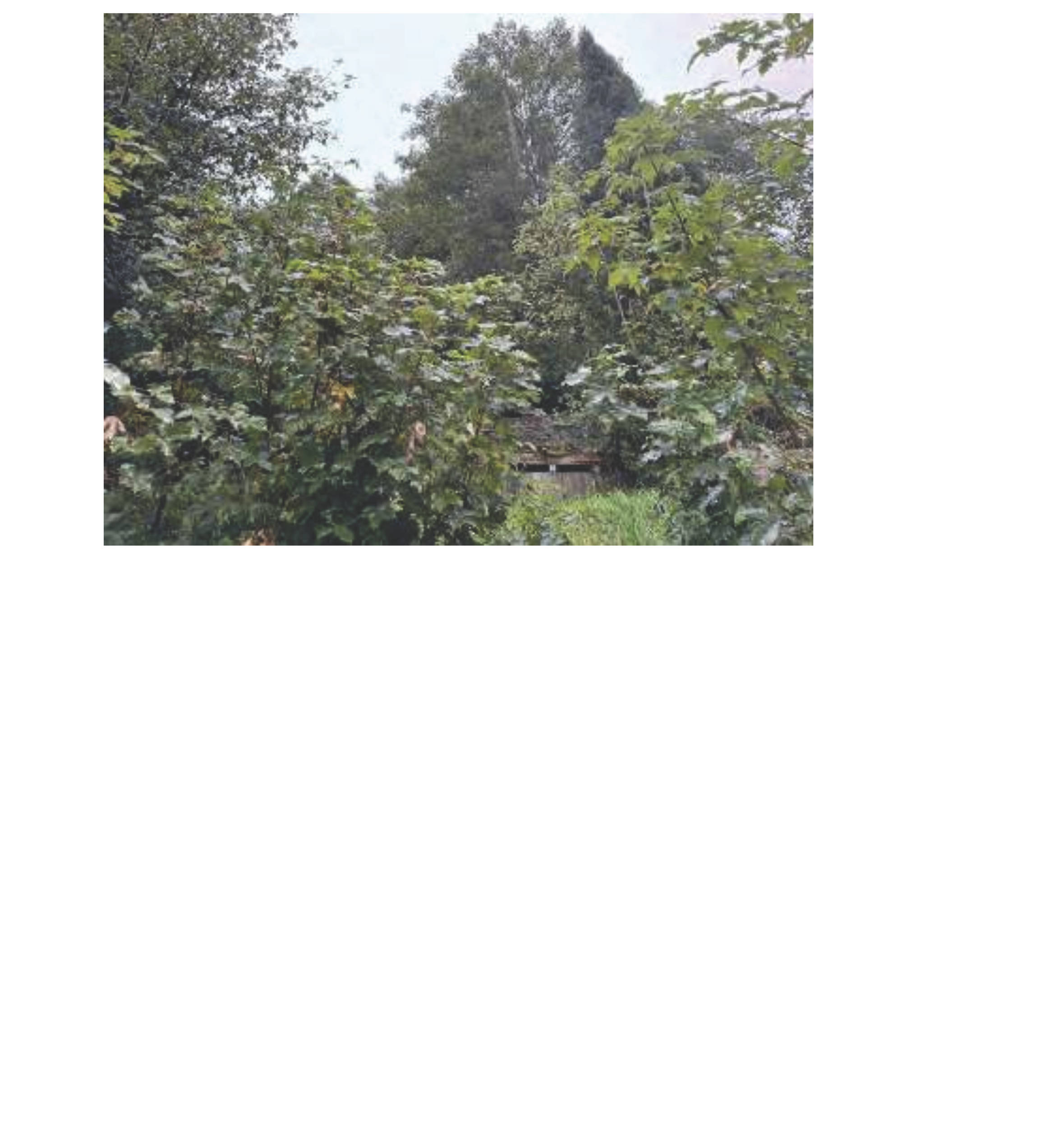 Einfamilienhaus in Untere Talstraße 30, 72469 Meßstetten - Bild 2