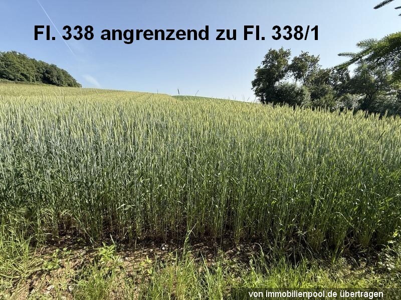 baden-wuerttemberg K 20/24 Klingenhaldenweg 27 und Schmiedegasse 13, 72175 Dornhan 3