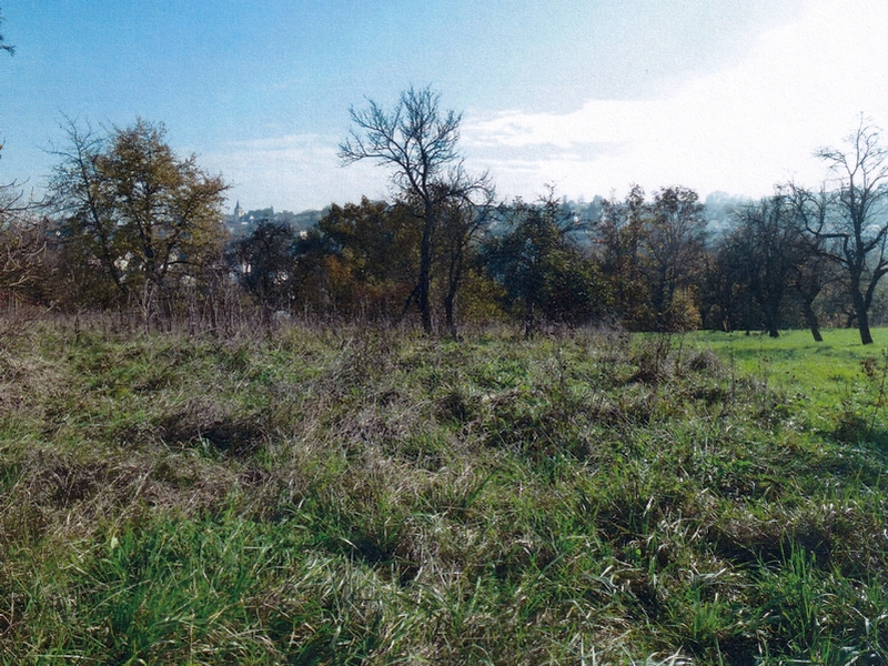 , 74343 Kleinsachsenheim