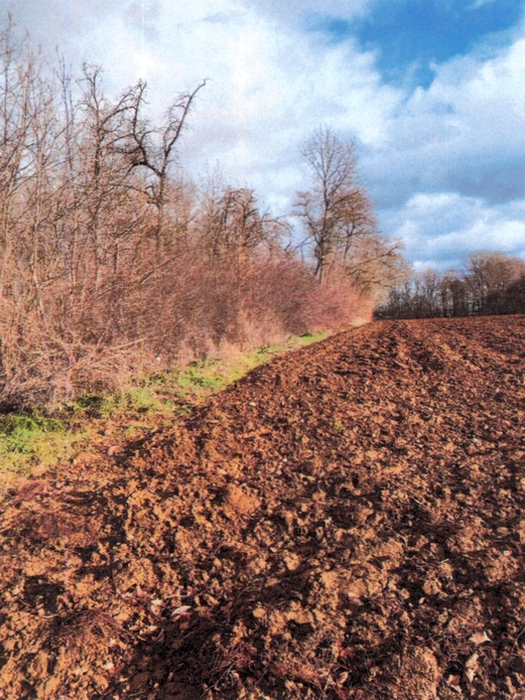 Land-/Forstwirtschaft in , 71735 Eberdingen-Hochdorf - Bild 2