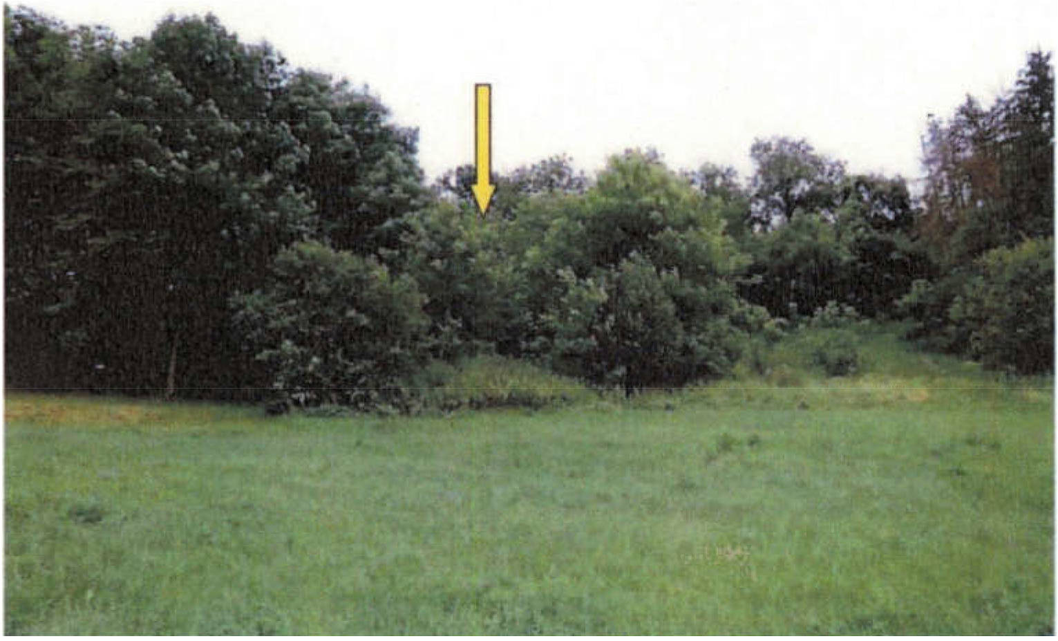 Grundstück in Wäschbach, 74196 Neuenstadt - Bild 2