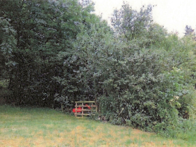 Grundstück in Wäschbach, 74196 Neuenstadt - Bild 4