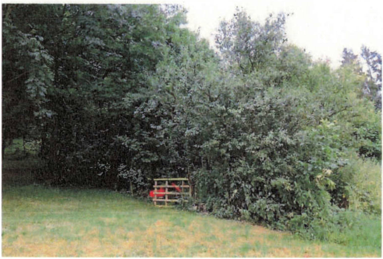 Grundstück in Wäschbach, 74196 Neuenstadt - Bild 5