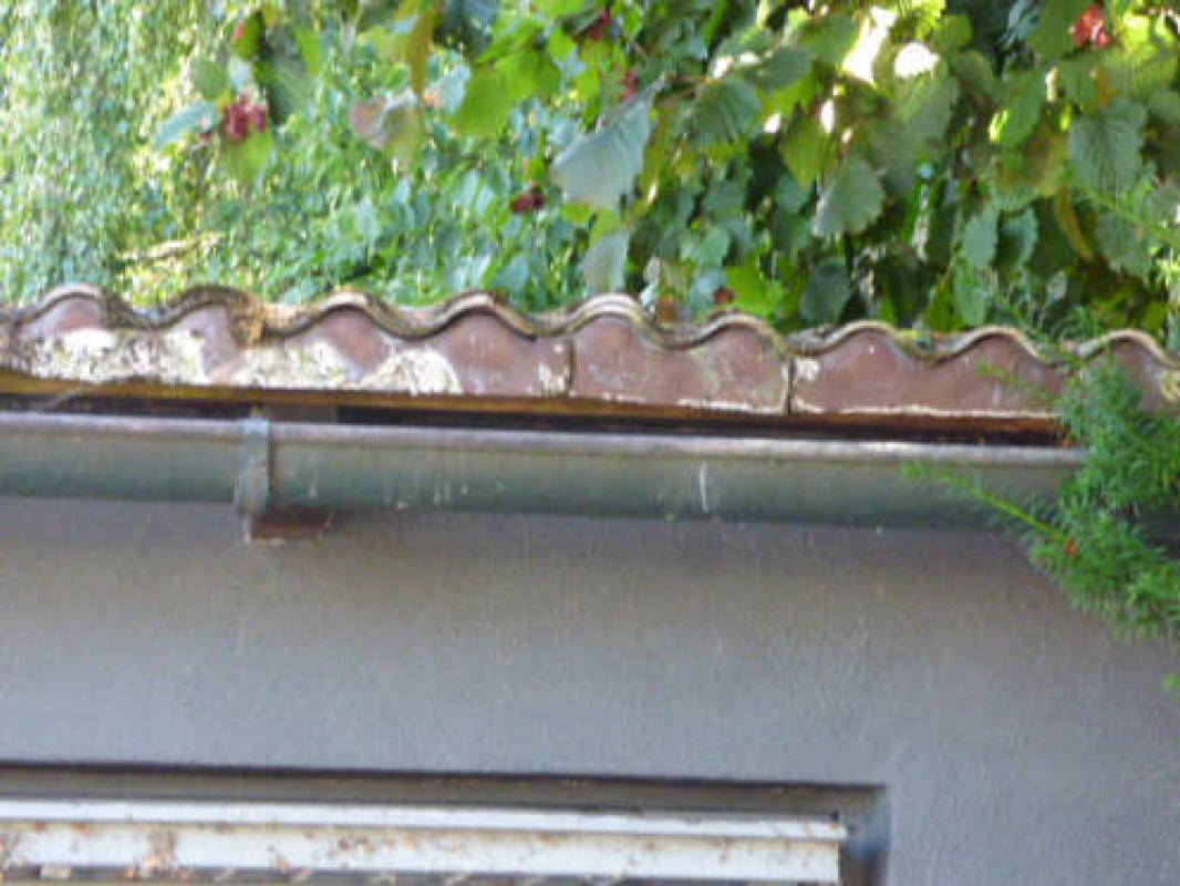 bayern 0001 K 0005/2025 Lärchenweg 3, 92272 Freudenberg 6
