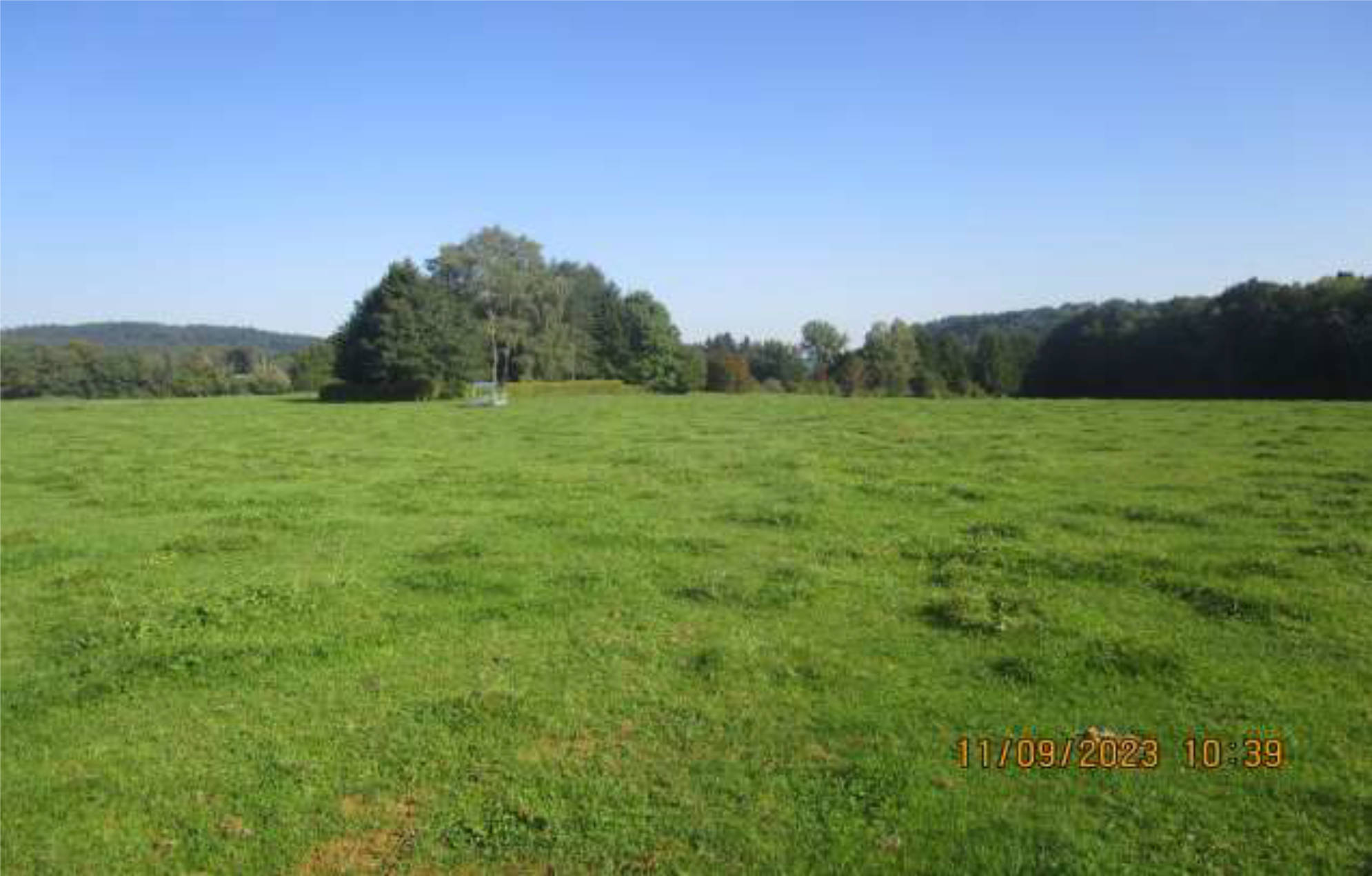 bayern 0001K0013-2023 nahe der Verlängerung "Im goldenen Tal", 83629 Holzolling, Frauenwiese