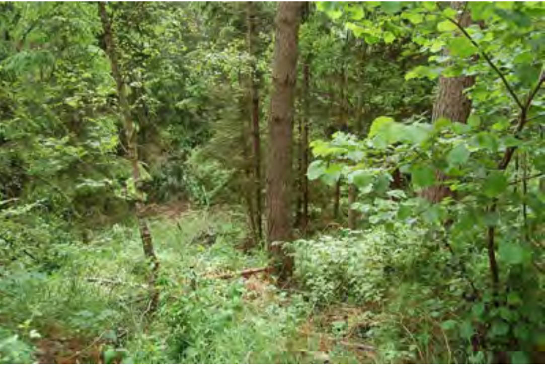bayern 0001K0014-2022 ca. 2 km nördlich von Langfurth, an der Staatsstrstraße 2220, 91731 Langfurth