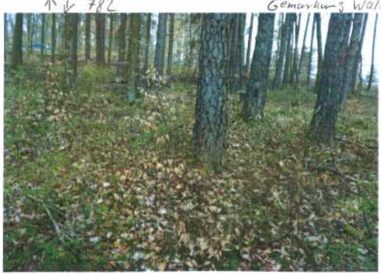 bayern 0001 K 0017/2025 Herösen, 96260 Weismain, Wallersberg 2