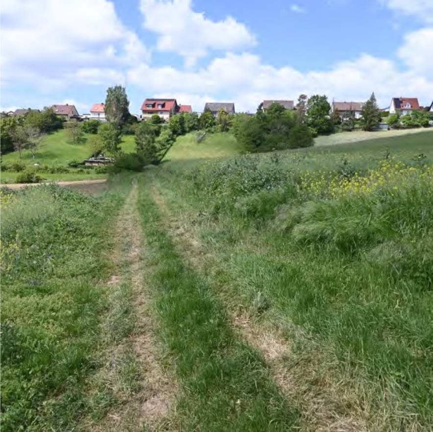 Grundstück in Pilzberg, 97228 Gemünden am Main - Bild 3