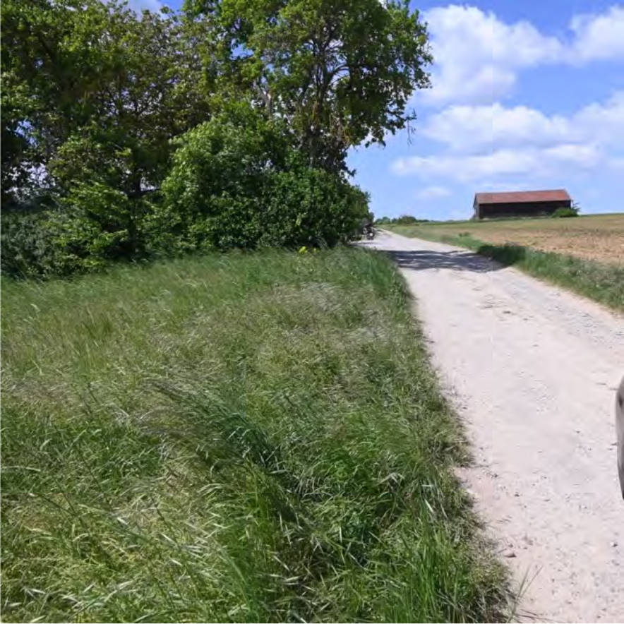 Grundstück in Pilzberg, 97228 Gemünden am Main - Bild 2