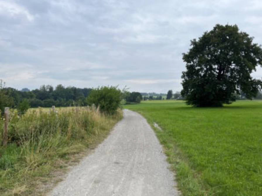 bayern 0001K0033-2022 Seefeld, 82418 Seehausen 11