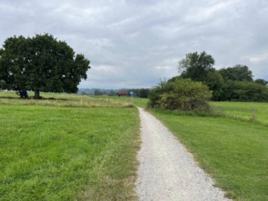 land- und forstwirtschaftlich genutztes Grundstück in Seefeld, 82418 Seehausen - Bild 5