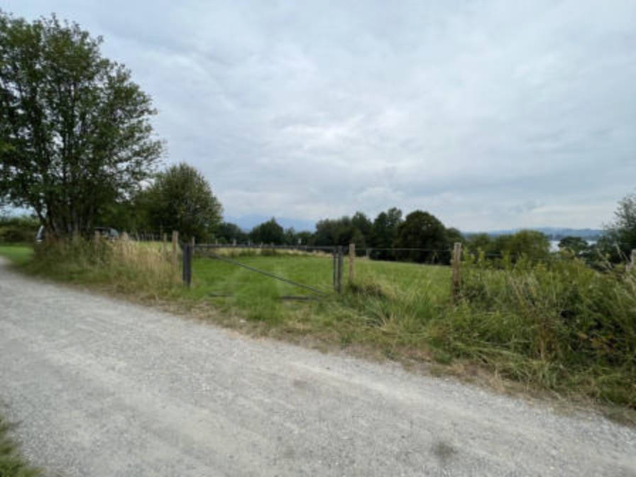 land- und forstwirtschaftlich genutztes Grundstück in Seefeld, 82418 Seehausen - Bild 2