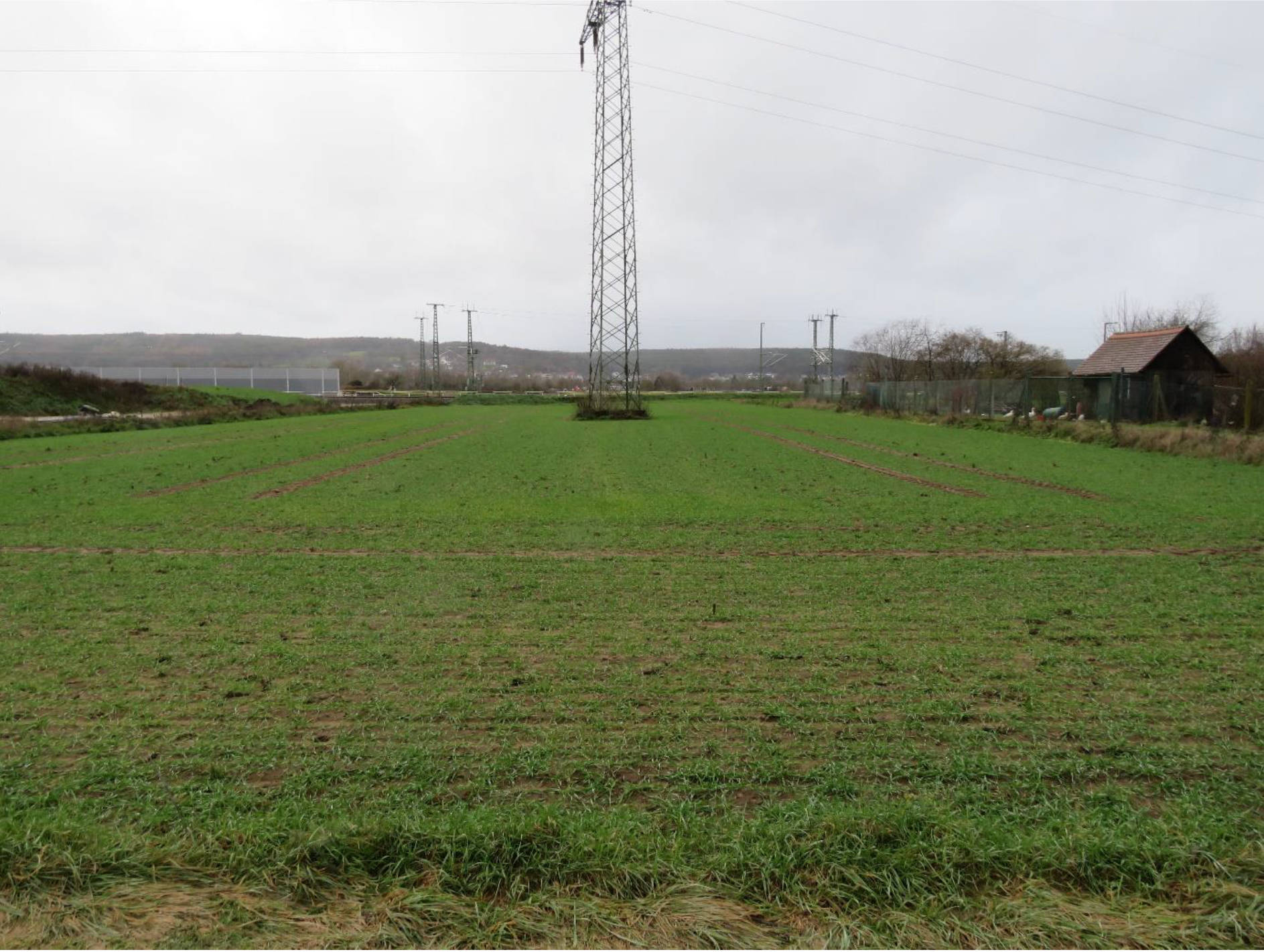 bayern 0001K0047-2022 Breite, 00000 Forchheim