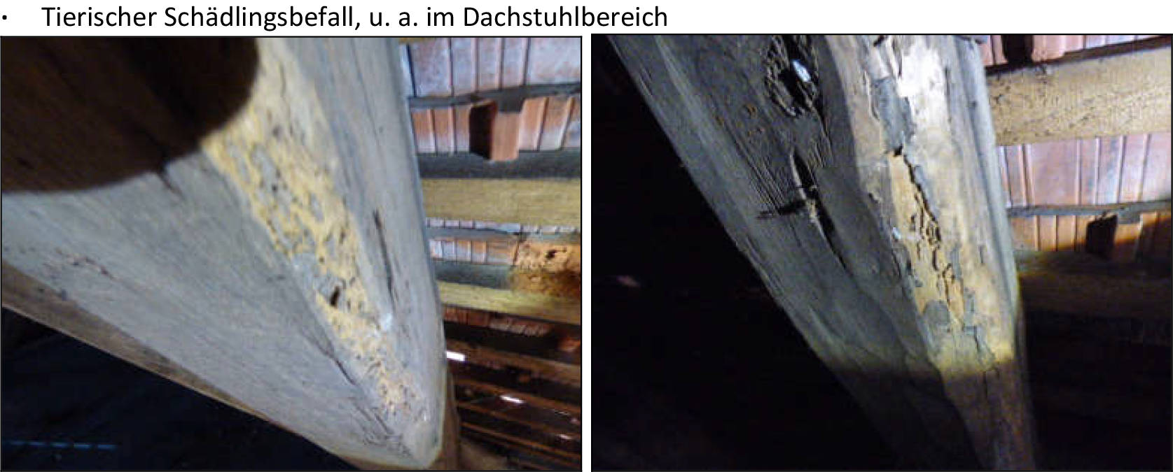 bayern 0001 K 0053/2024 Kugelplatz 6, 92237 Sulzbach-Rosenberg 24