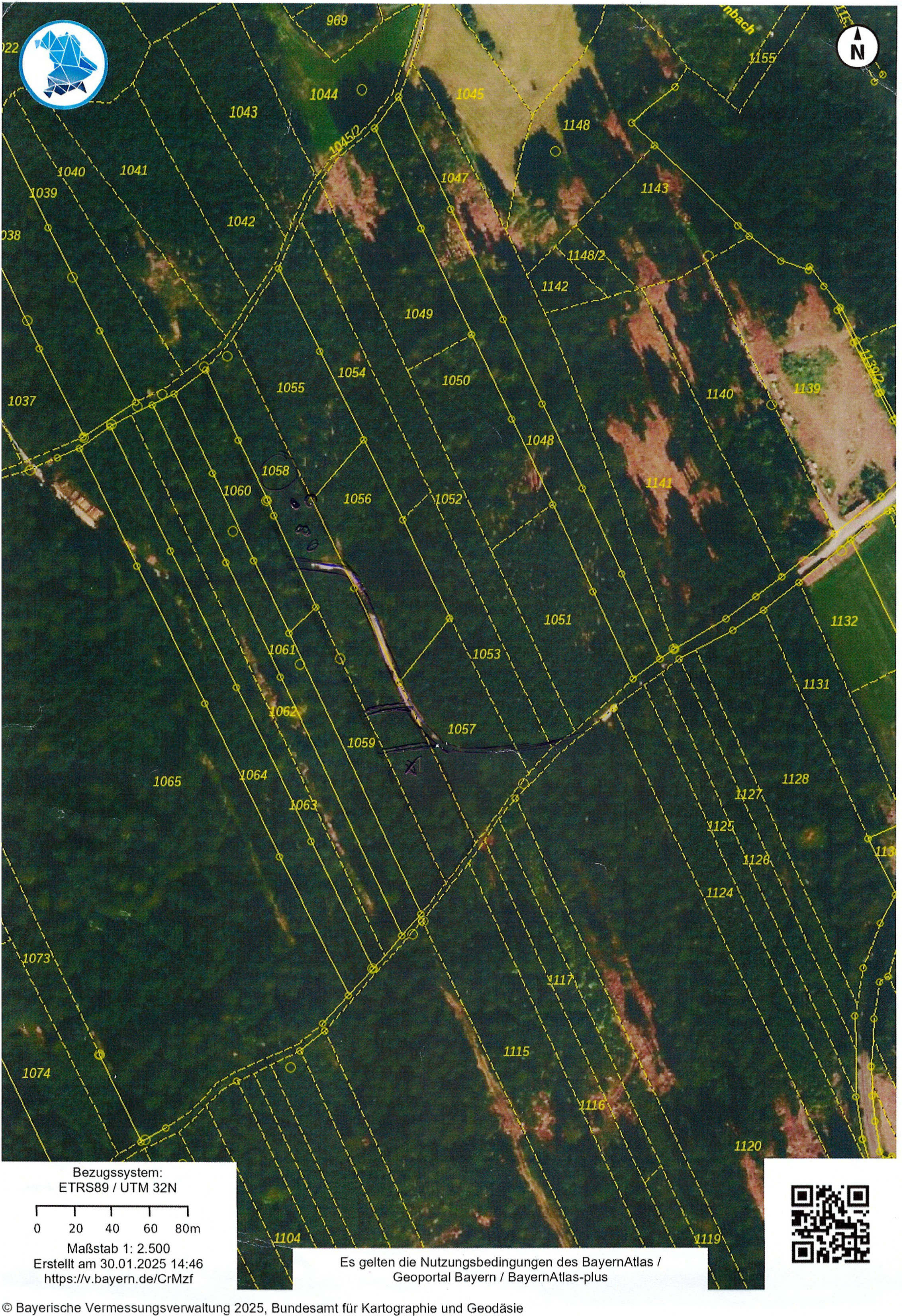 Waldfläche 0001 K 0056-2024 Flurstück  1058, 00000 Gemarkung Waldmünchen