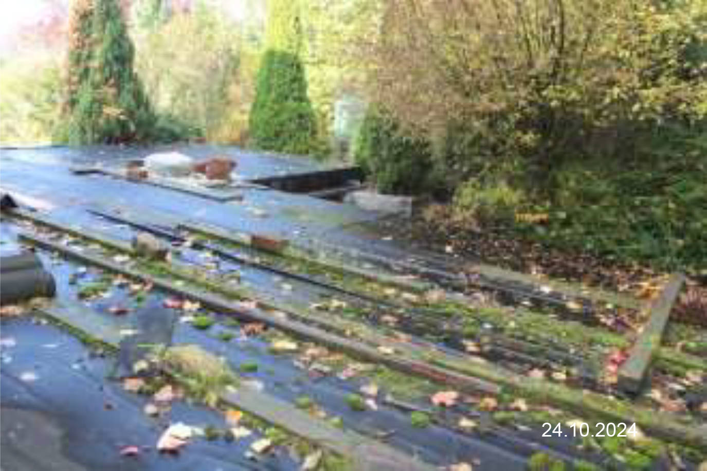 bayern 0001 K 0058/2024 Katzberger Straße  22, 93413 Cham 26