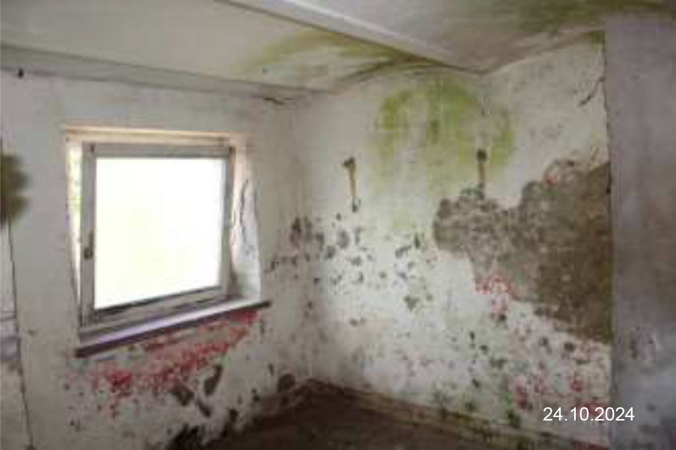 bayern 0001 K 0058/2024 Katzberger Straße  22, 93413 Cham 11