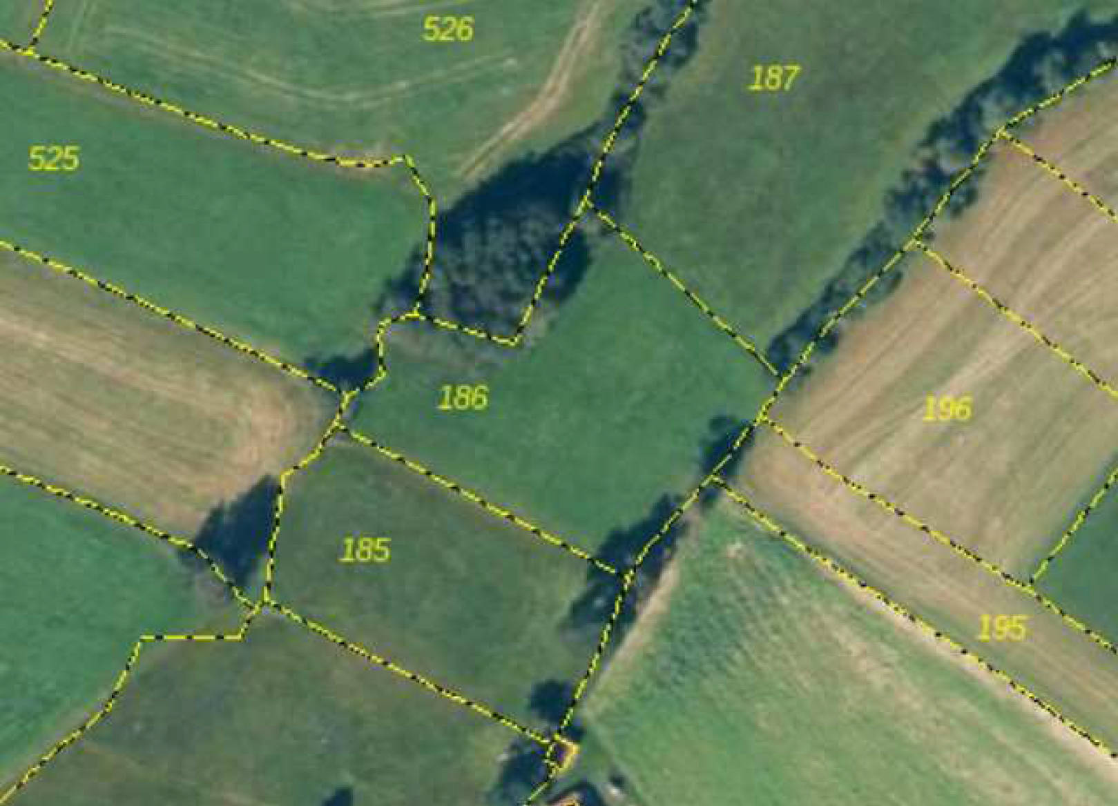 Grünland in Gemarkung Traidersdorf Fl.St.186, 93444 Bad Kötzting - Bild 4