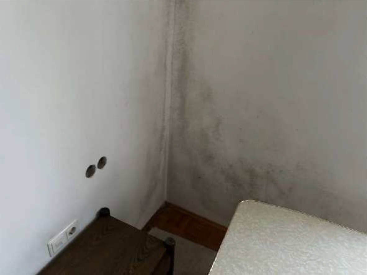 bayern 0001 K 0062/2024 Gluckstraße 4, 93105 Tegernheim 18