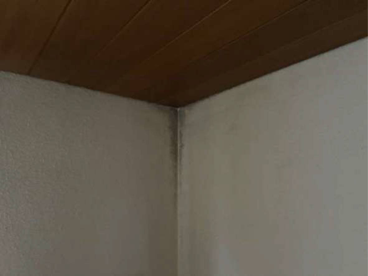 bayern 0001 K 0062/2024 Gluckstraße 4, 93105 Tegernheim 22