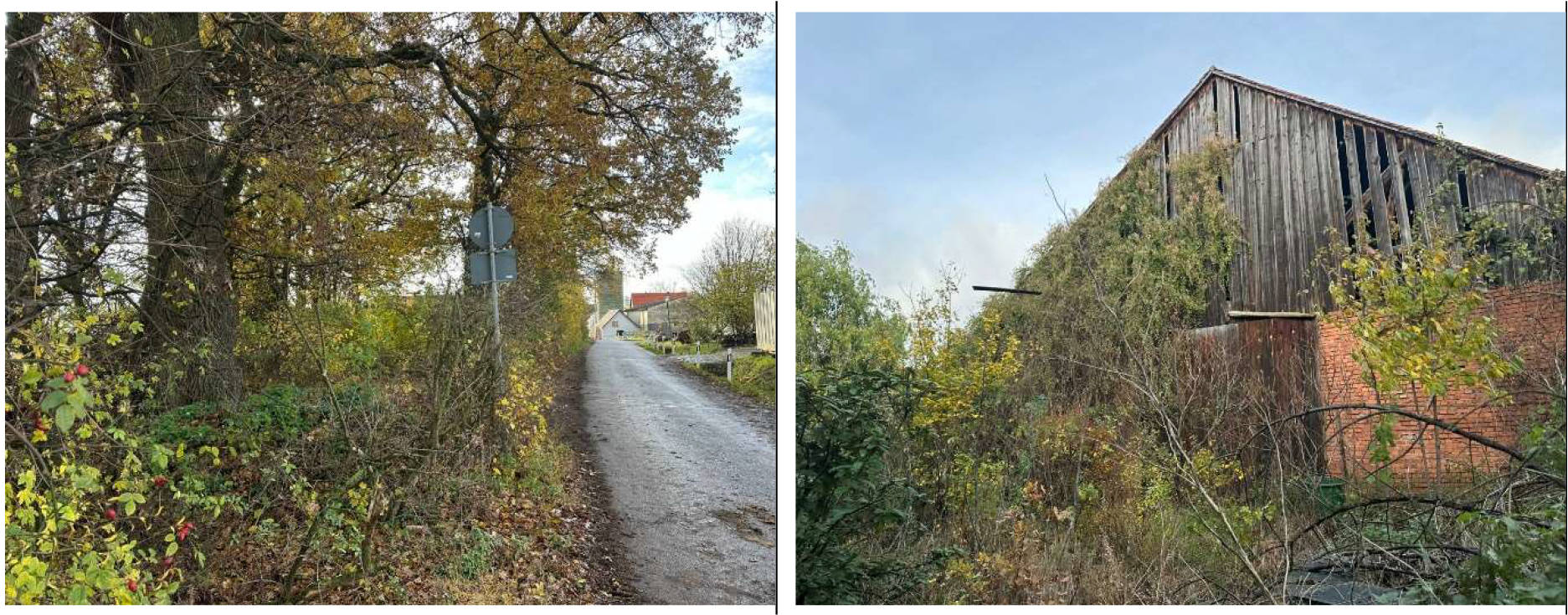 Grundstück mit ehemaliger Maschinenhalle und Fahrsilo in Nähe Triebweg, 90587 Obermichelbach - Bild 3