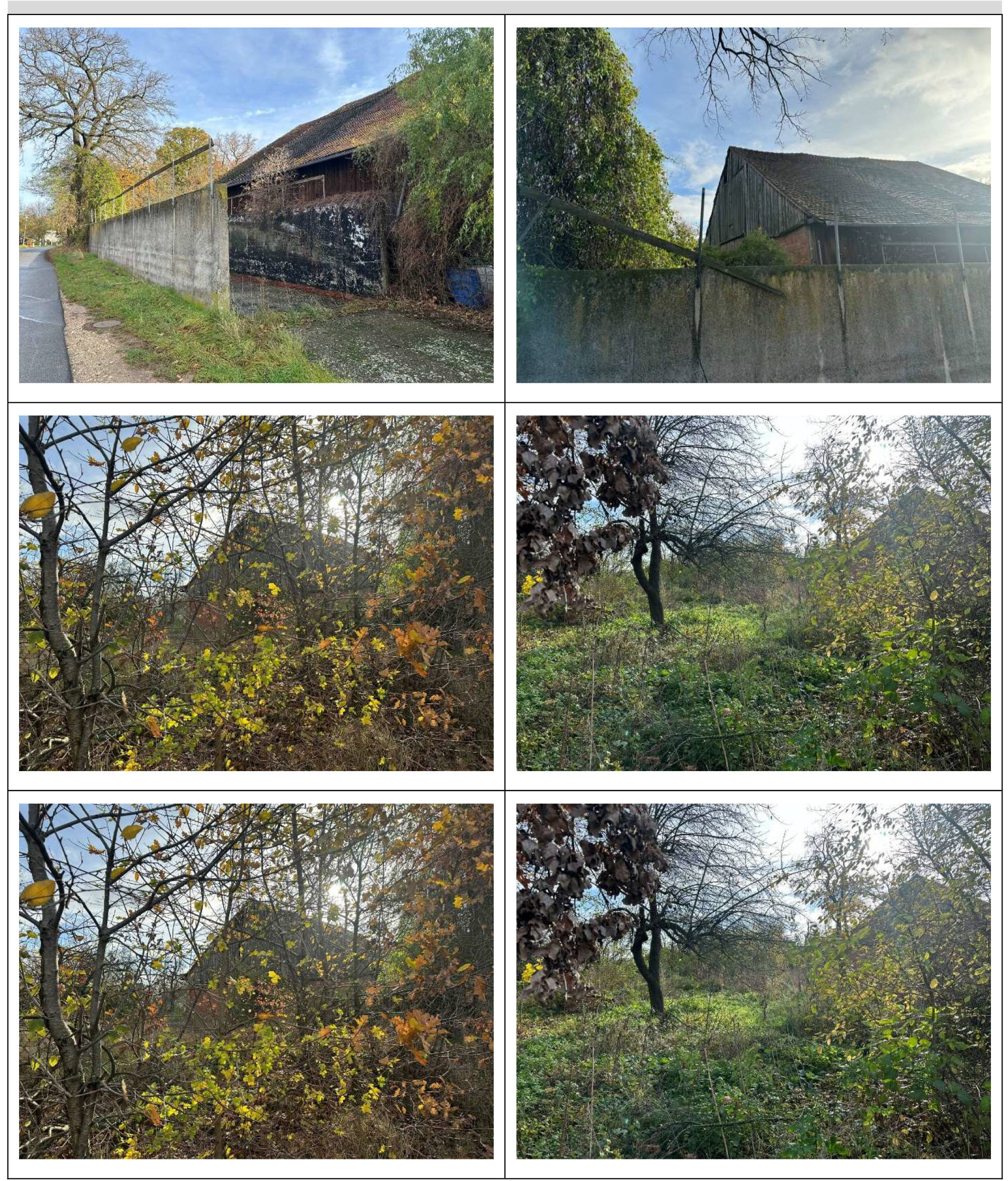 Grundstück mit ehemaliger Maschinenhalle und Fahrsilo in Nähe Triebweg, 90587 Obermichelbach - Bild 4