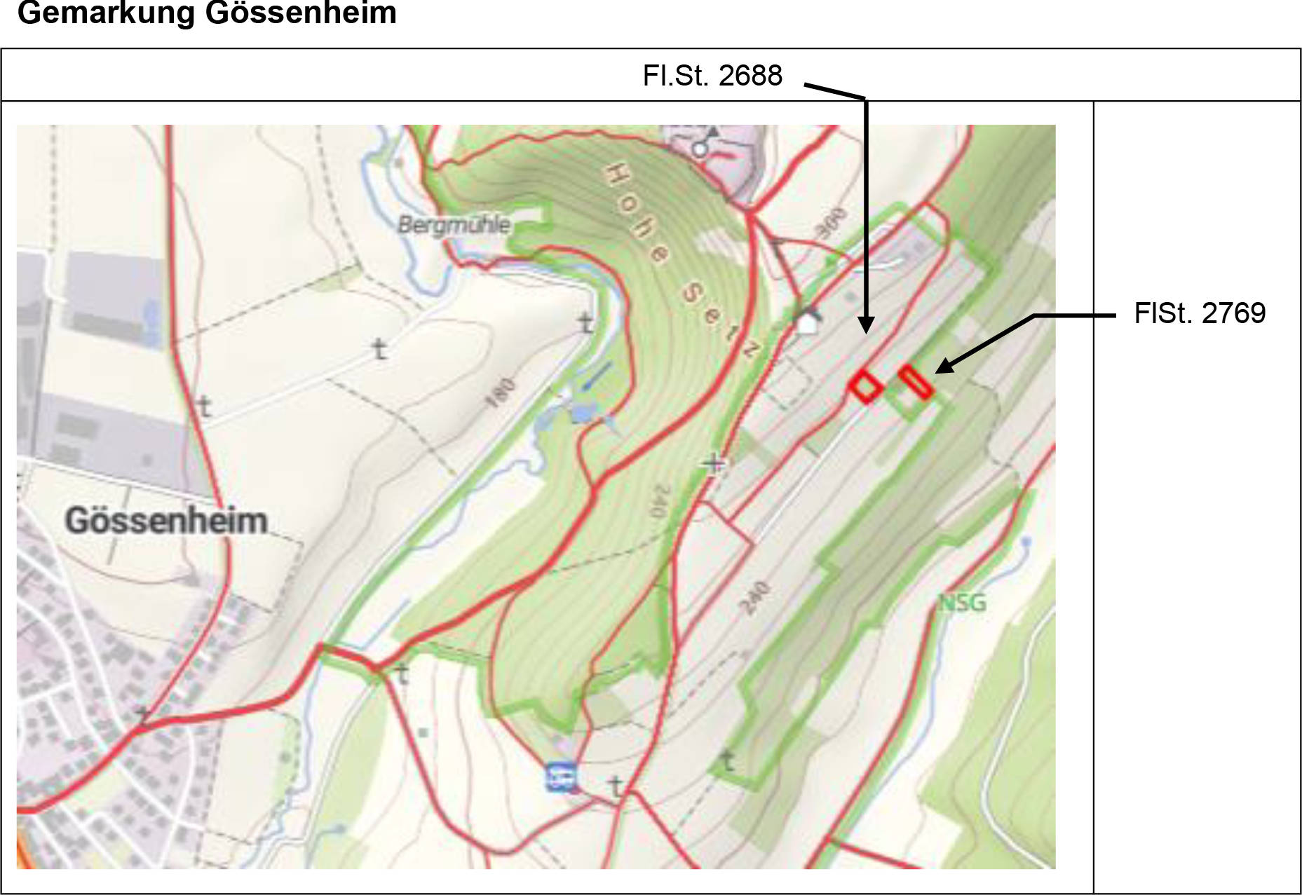 Waldfläche in Homburger Ellern, Erlbach, 97780 Gössenheim - Bild 5