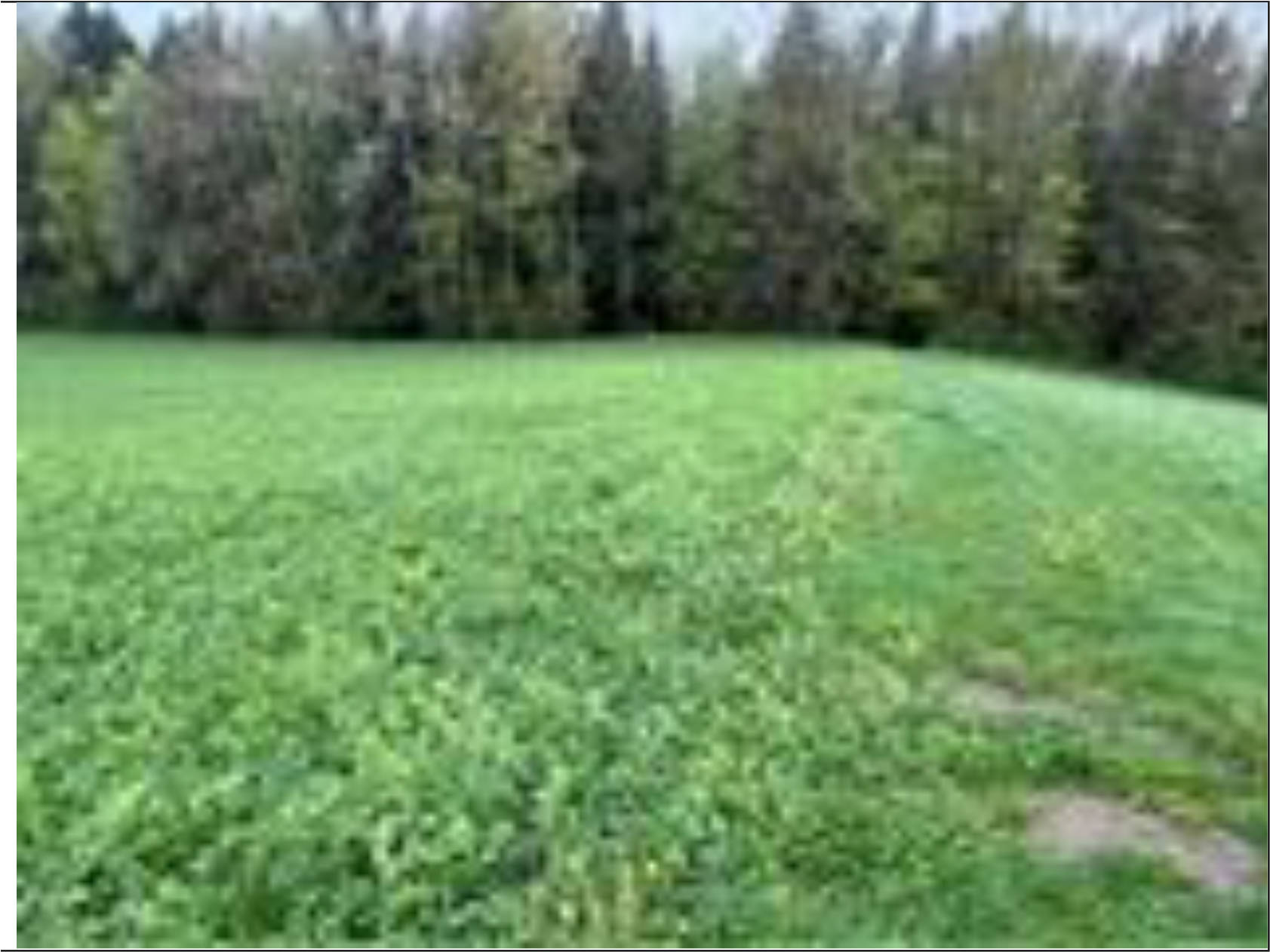 Landwirtschaftsfläche in Winterzell Flst. Nr. 906, 93453 Neukirchen b. Hl. Blut, Neukirchen b. Hl. Blut - Bild 4