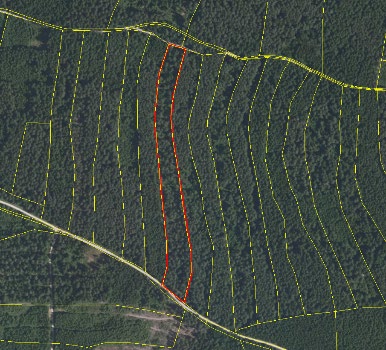 Waldgrundstück in Gemarkung Thonlohe Fl.Nr. 597, 93155 Hemau - Bild 2