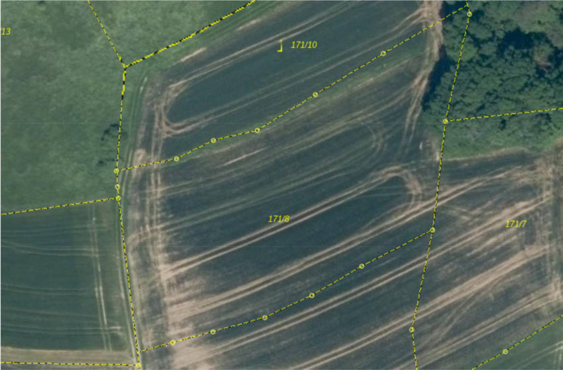 bayern 0002 K 0001/2025 Im Engelgraben, 00000 Marloffstein 11