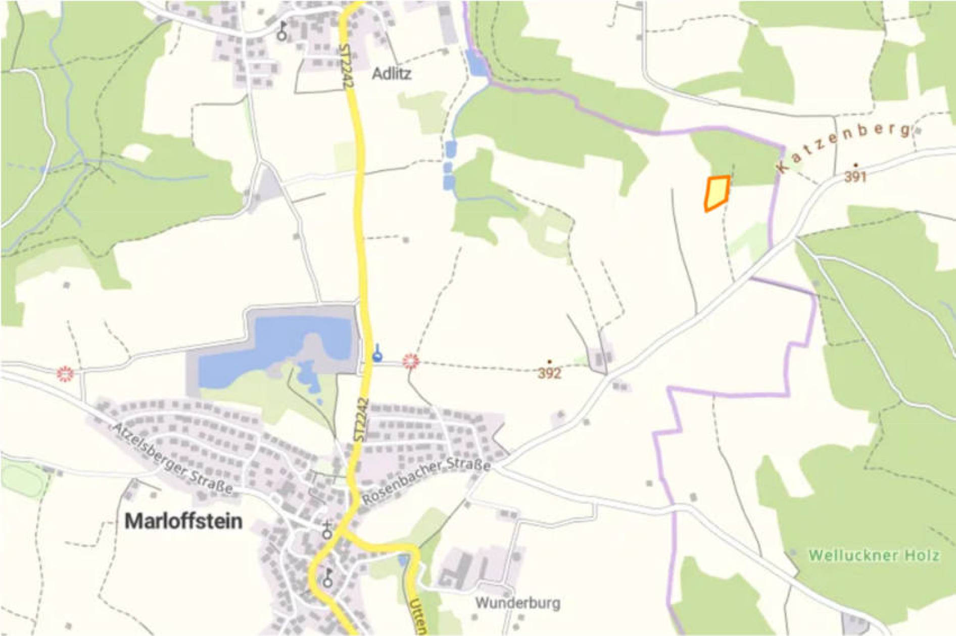 land- und forstwirtschaftlich genutztes Grundstück in Im Engelgraben, 00000 Marloffstein - Bild 2