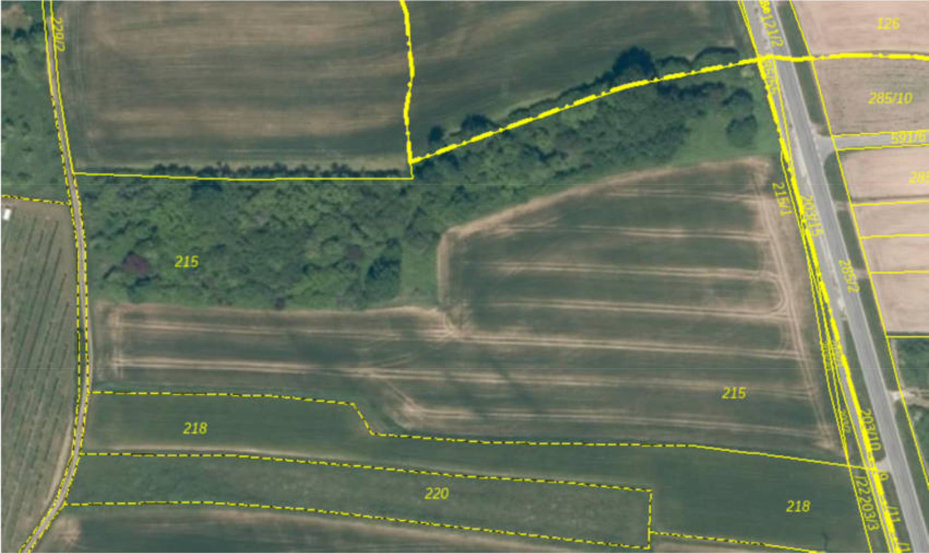 bayern 0002 K 0001/2025 Im Engelgraben, 00000 Marloffstein 6