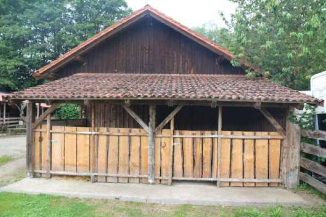 bayern 0002K0004-2024 Schönseer Straße 16, 92539 Schönsee, Gaisthal