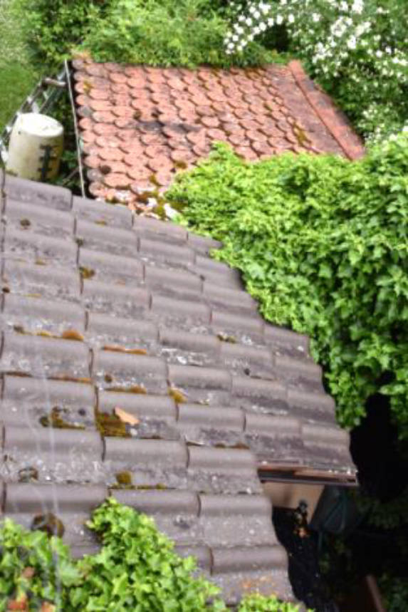 Erbbaurecht an dem mit einer Doppelhaushälfte und Garage bebauten Grundstück in Johannes-Kepler-Straße  19, 97074 Würzburg - Bild 2