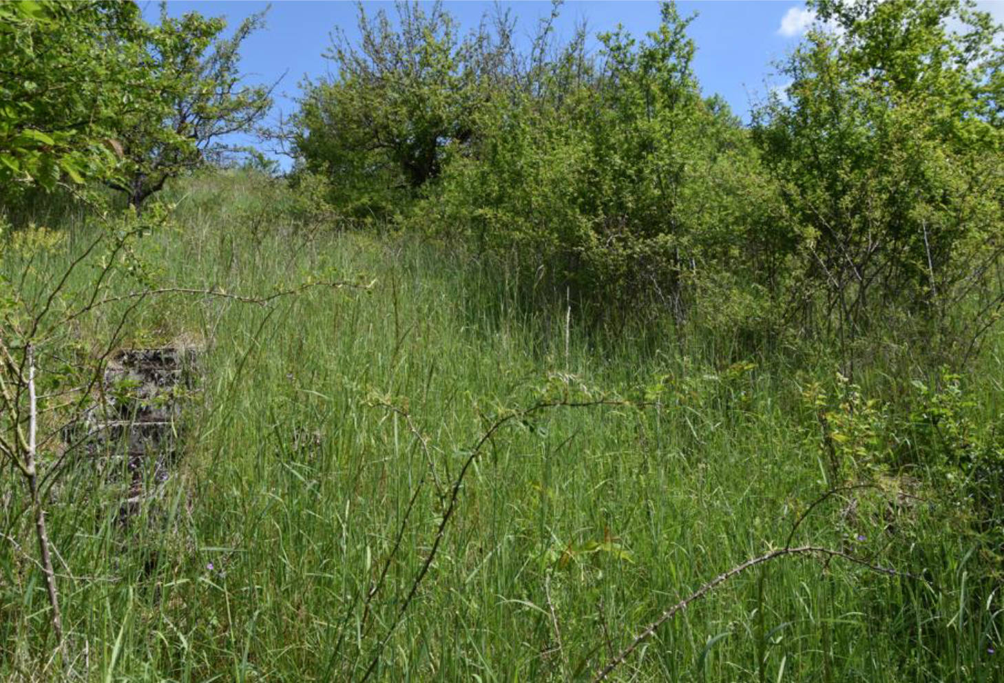 Ackerland, Landwirtschaftsfläche in Mühlenberg, 97225 Retzbach - Bild 2