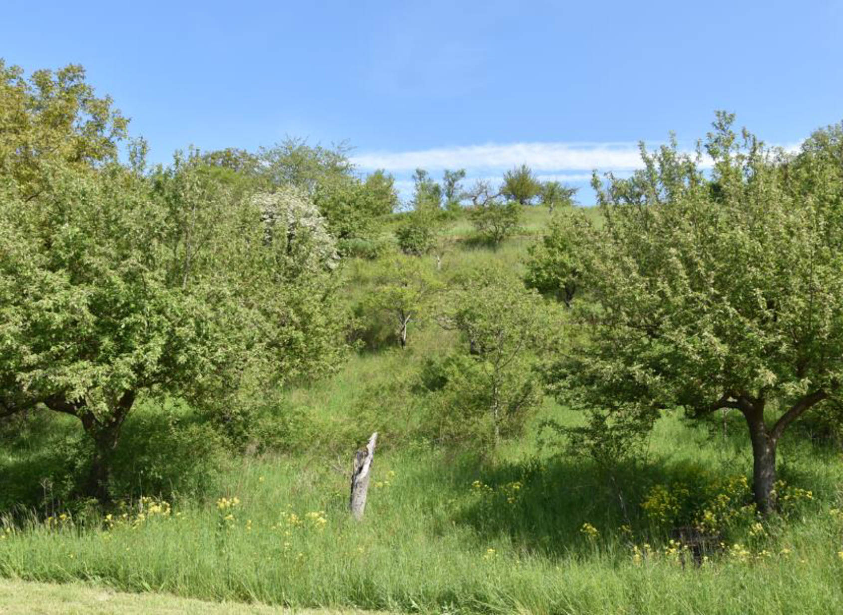 Ackerland, Landwirtschaftsfläche in Mühlenberg, 97225 Retzbach - Bild 3