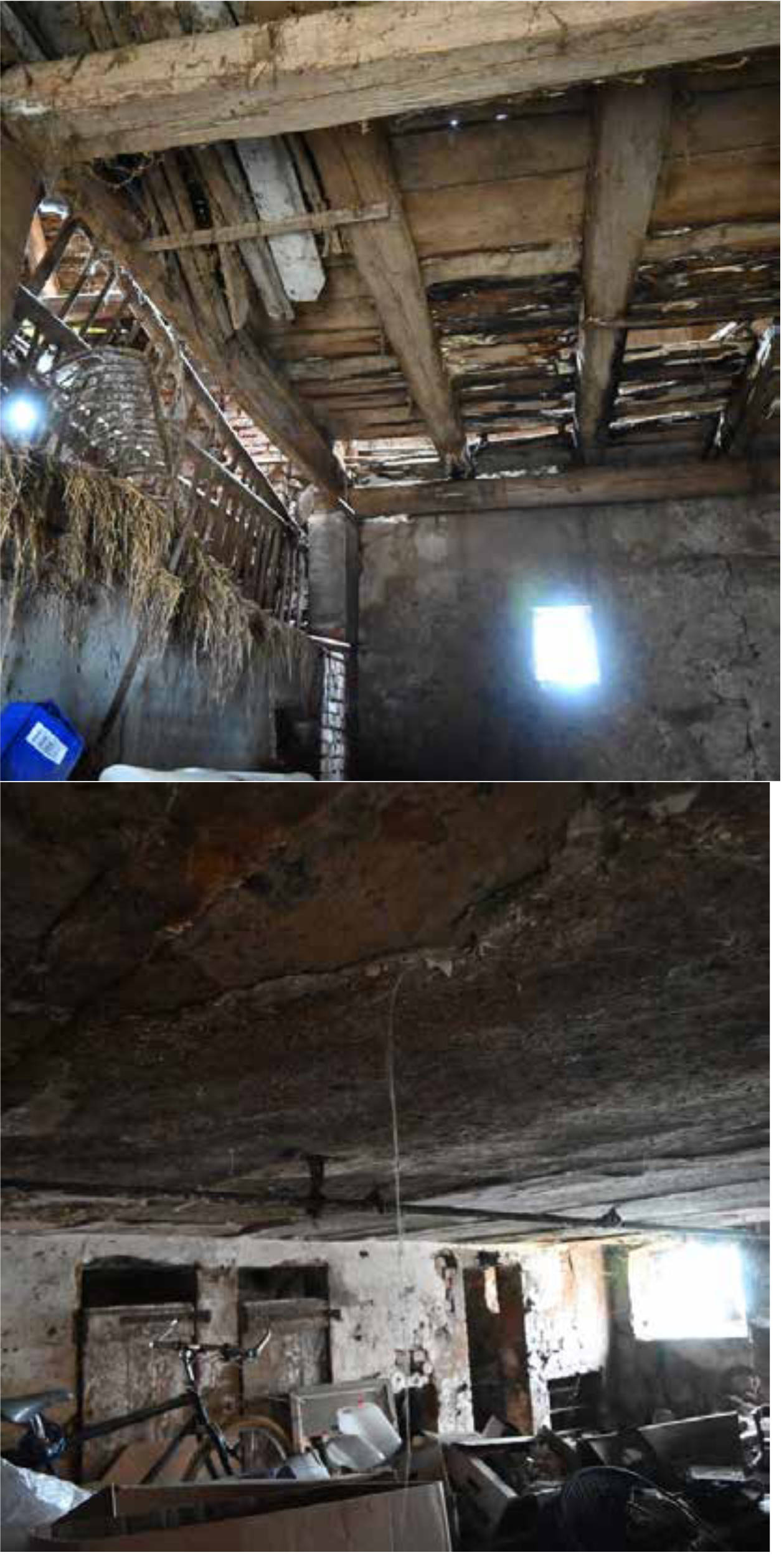 bayern 0002 K 0010/2023 Borsbach 2, 91604 Flachslanden, Borsbach 8