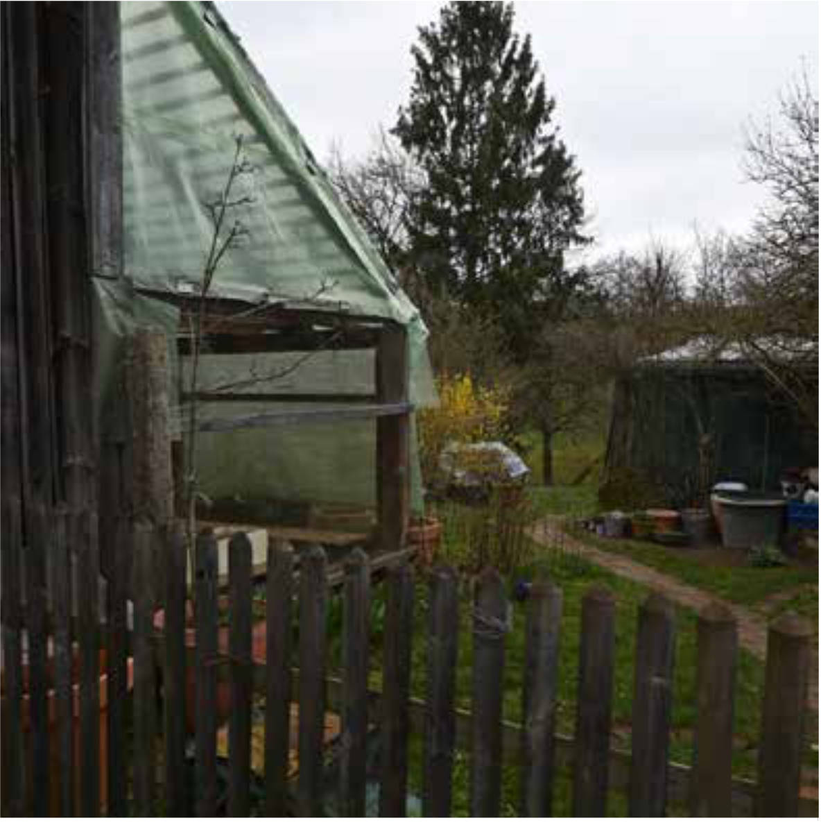 unbebautes Grundstück in In Borsbach, 91604 Flachslanden, Borsbach - Bild 5