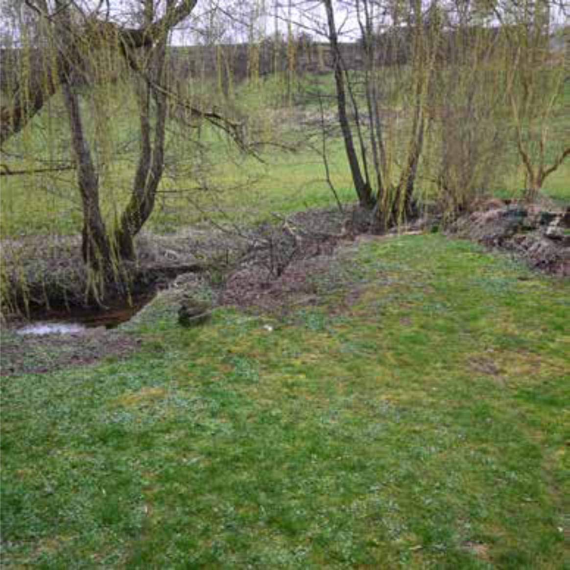 bayern 0002 K 0011/2023 In Borsbach, 91604 Flachslanden, Borsbach 6