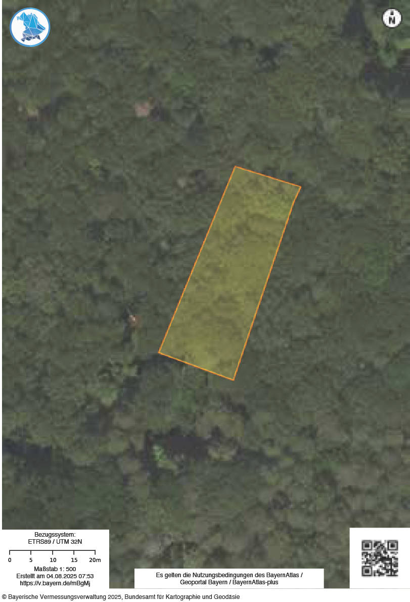 bayern 0002 K 0012/2025 Köhlersberg,Bühltalgraben, Schmalbach, Heften,Geige, 97783 Karsbach 11