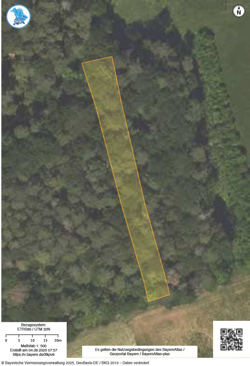 unbebautes Grundstück, land- und forstwirtschaftlich genutztes Grundstück in Köhlersberg,Bühltalgraben, Schmalbach, Heften,Geige, 97783 Karsbach - Bild 4