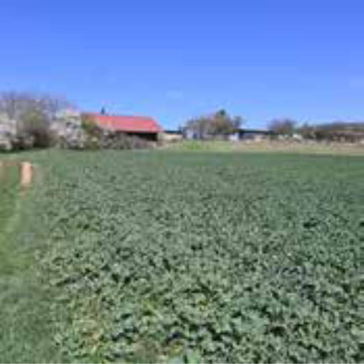 unbebautes Grundstück, land- und forstwirtschaftlich genutztes Grundstück in Köhlersberg,Bühltalgraben, Schmalbach, Heften,Geige, 97783 Karsbach - Bild 2