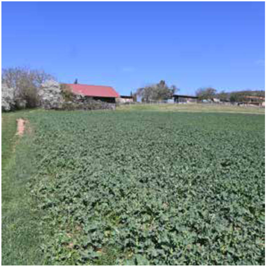 unbebautes Grundstück, land- und forstwirtschaftlich genutztes Grundstück 0002 K 0012-2025 Köhlersberg,Bühltalgraben, Schmalbach, Heften,Geige, 97783 Karsbach
