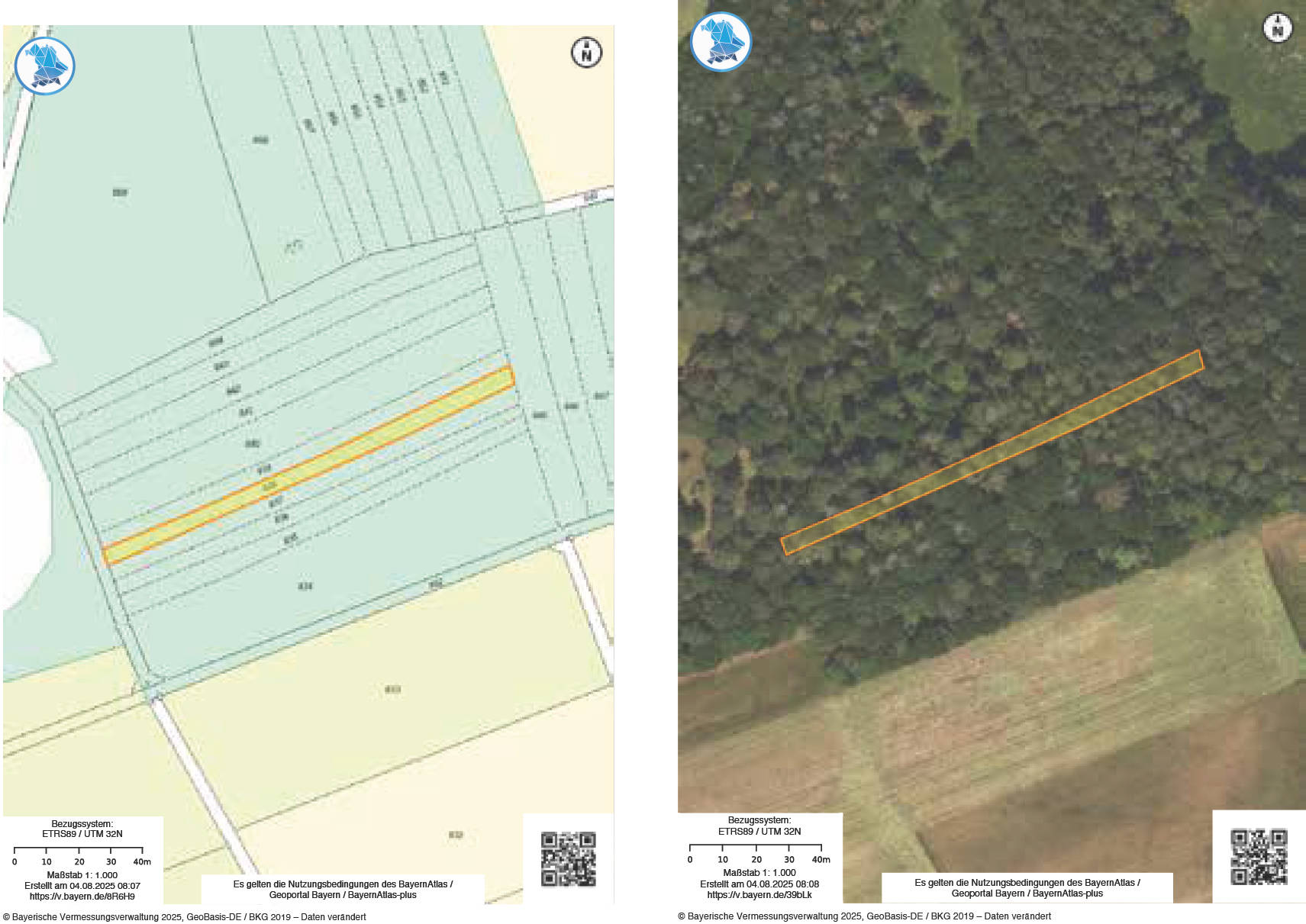 bayern 0002 K 0012/2025 Köhlersberg,Bühltalgraben, Schmalbach, Heften,Geige, 97783 Karsbach 12