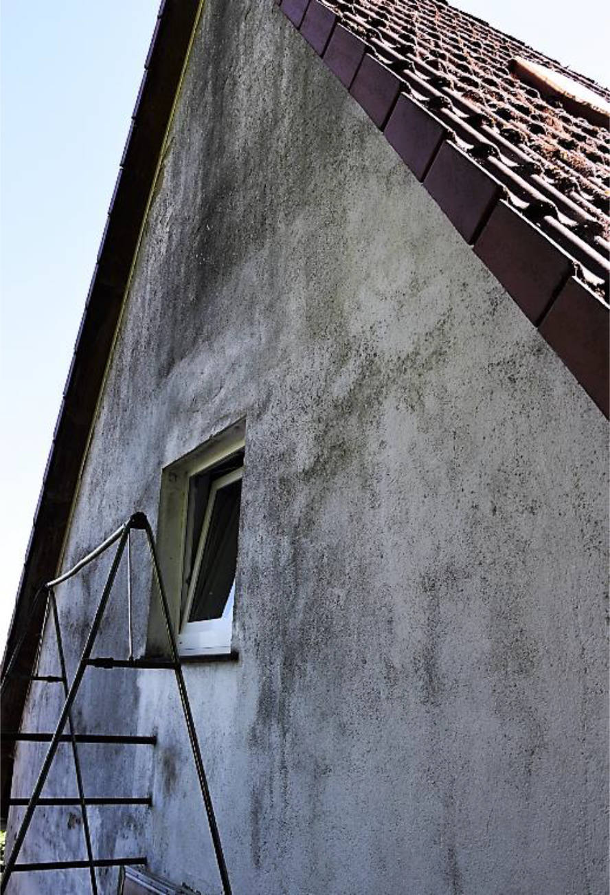 Einfamilienwohnhaus in Weg zur Zeller Waldspitze 33, 97072 Würzburg - Bild 3
