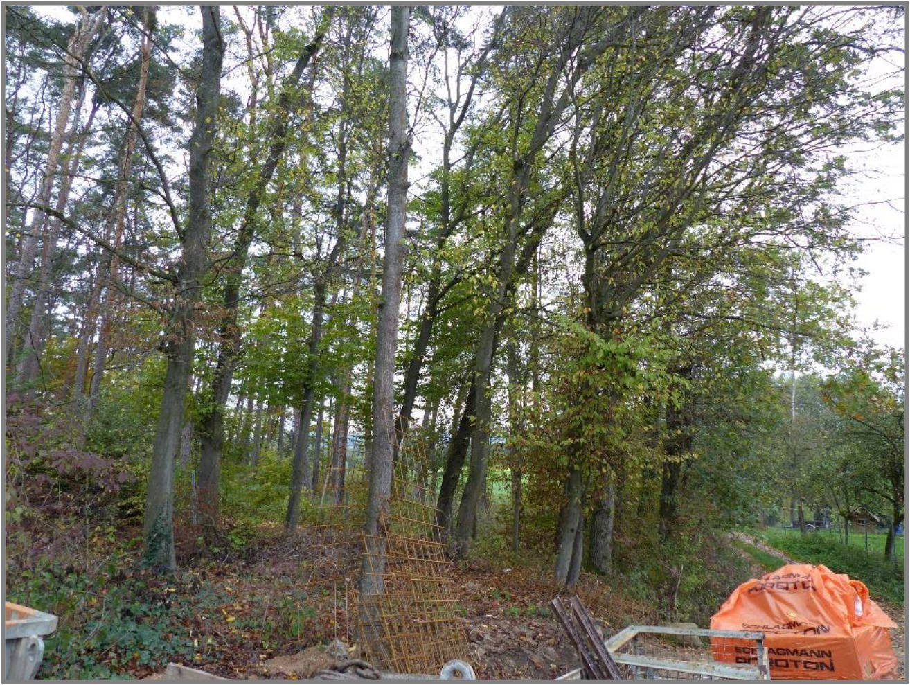 bayern 0002K0015/2022 Adlitz 16, 91080 Marloffstein, Adlitz 6