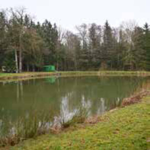 Sonstiges in Vorderbreitenthann --, 91555 Feuchtwangen, Vorderbreitenthann - Bild 5