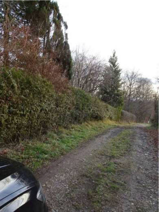 bayern 0002K0019-2024 Grainwinkel 7, 82057 Icking, Walchstadt